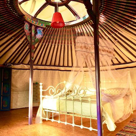 Exclusive Nirvana Yurts Glamping Kato Drys Eksteriør bilde