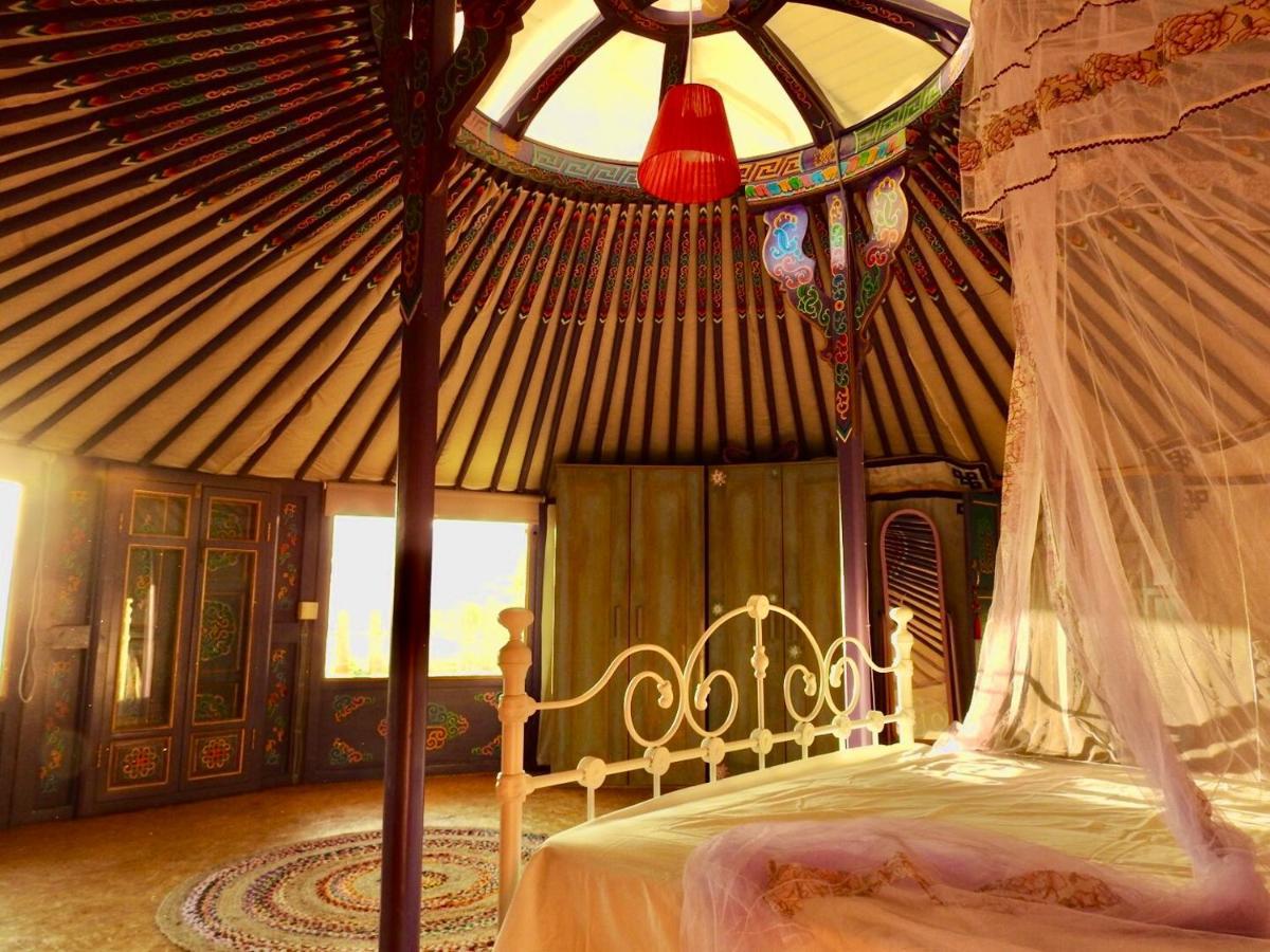 Exclusive Nirvana Yurts Glamping Kato Drys Eksteriør bilde