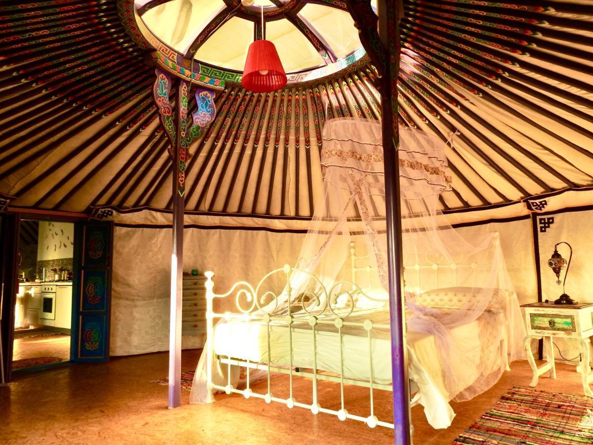 Exclusive Nirvana Yurts Glamping Kato Drys Eksteriør bilde